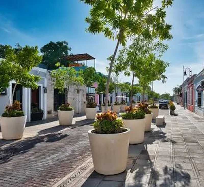 Corredor gastronómico (calle 47)