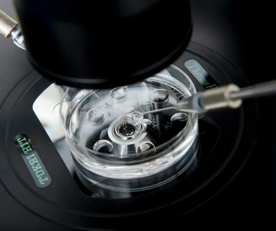 In vitro fertilization