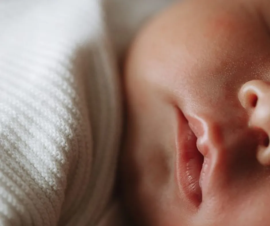 Endometrial Receptivity Studies